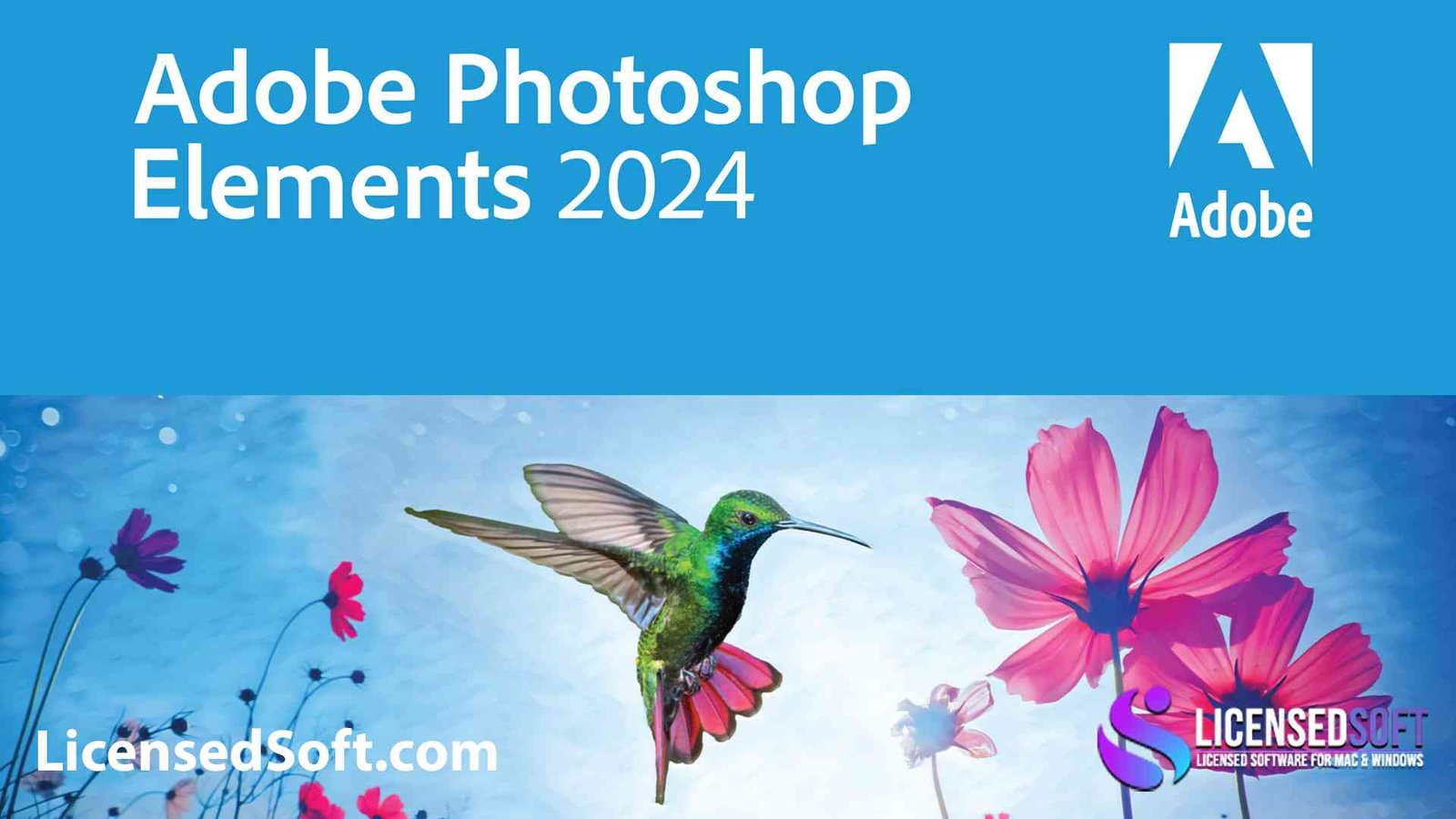 Adobe Photoshop Elements 2024 Full Version By LicensedSoft