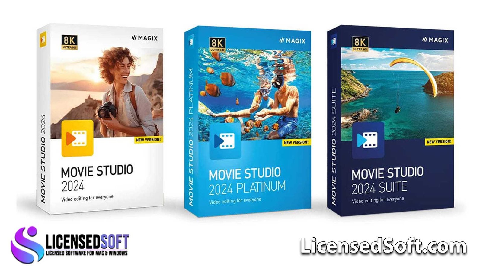 MAGIX VEGAS Movie Studio Platinum 2024 By LicensedSoft
