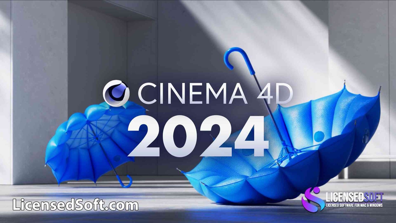 Maxon Cinema 4D Studio 2024 By LicensedSoft