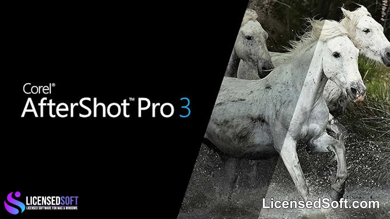Corel AfterShot Pro 3.7.0.446 Full Premium By LicensedSoft
