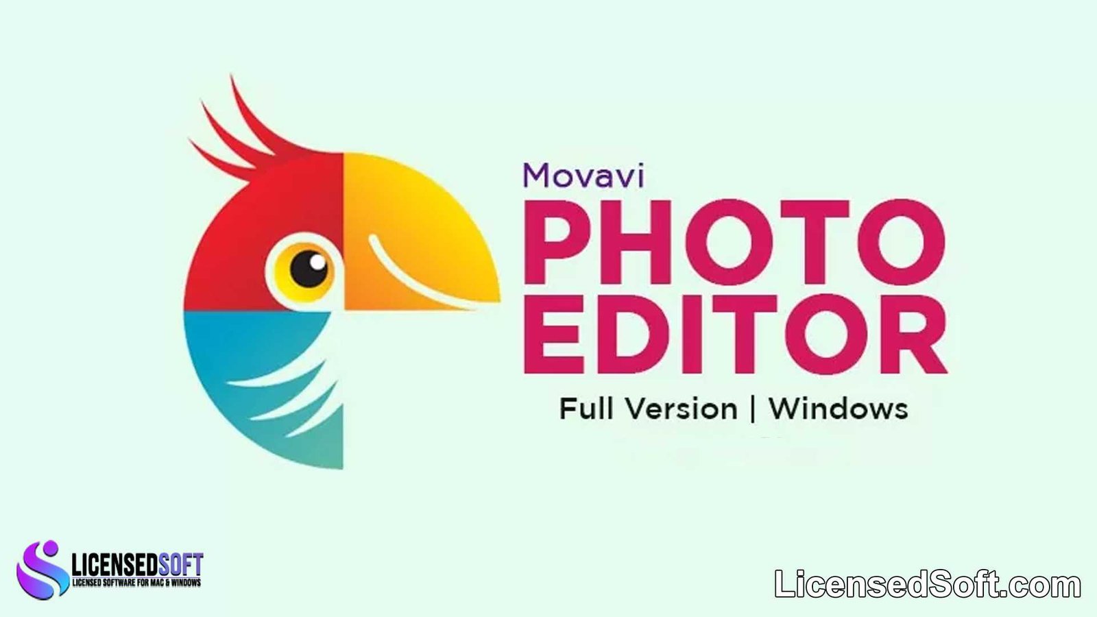 Movavi Photo Editor 6.7.1 Lifetime Full Premium By LicensedSoft