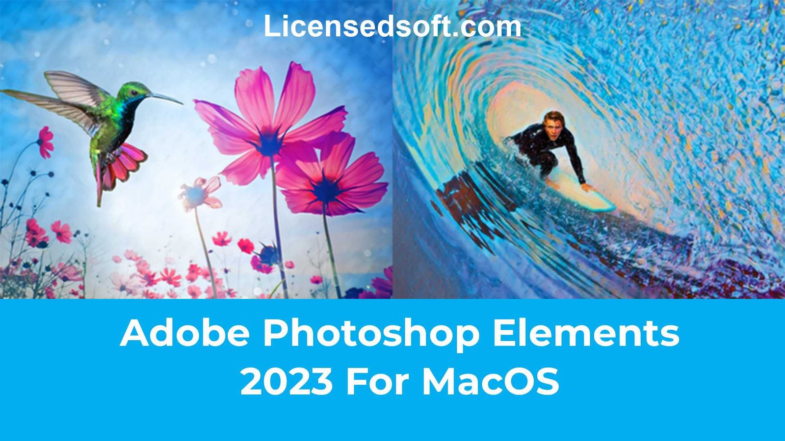 Adobe Photoshop Elements 2023 For MacOS Lifetime Premium cover photo by licensedsoft.com