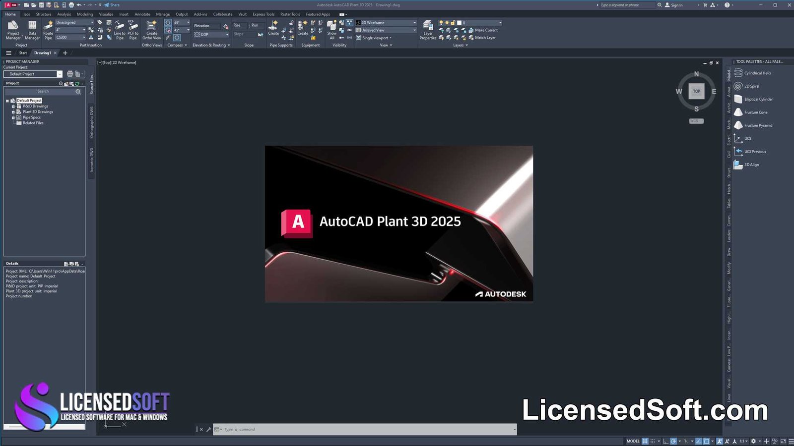 AutoCAD Plant 3D 2025 Perpetual License By LicensedSoft