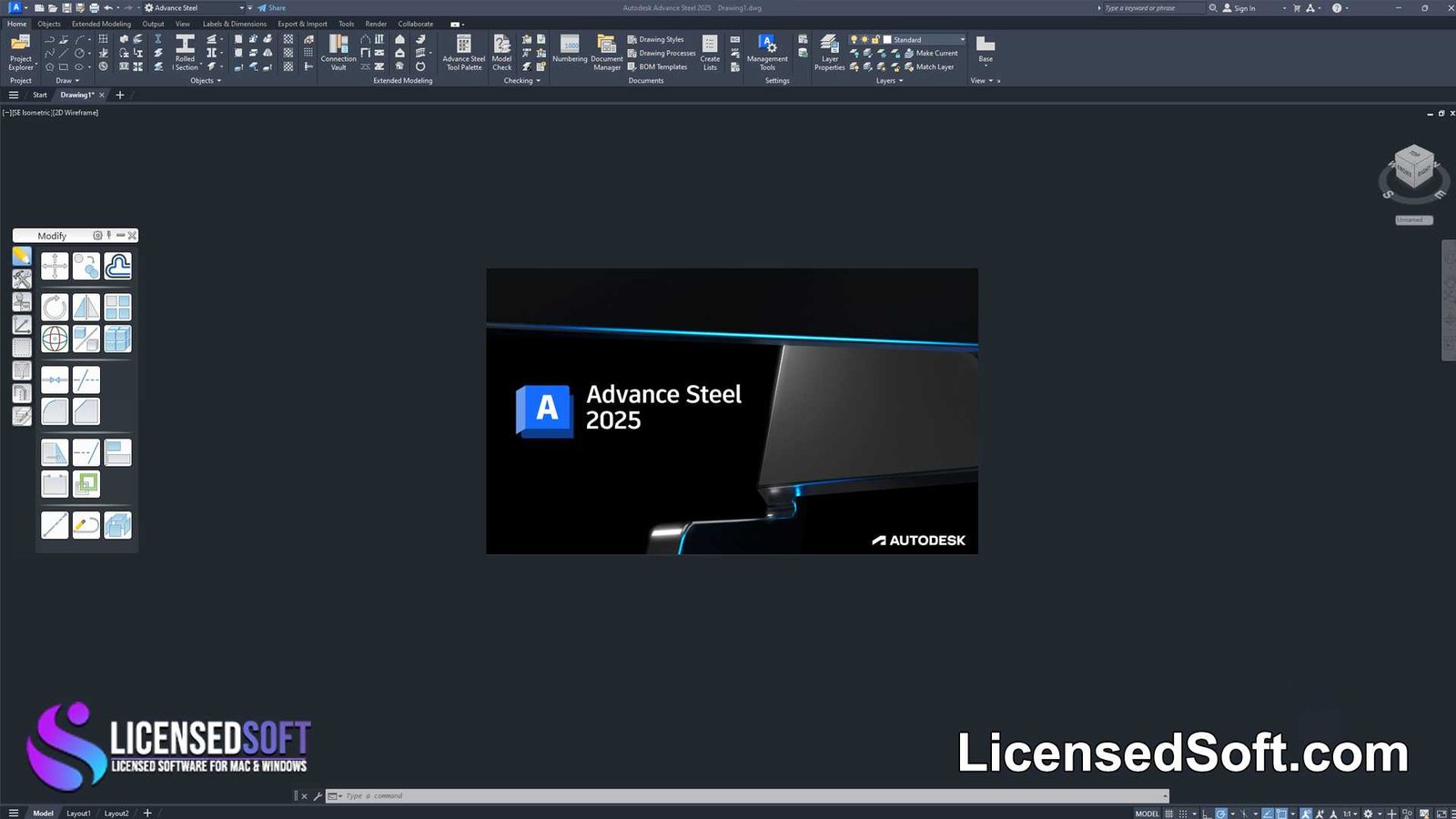 Autodesk Advance Steel 2025 Perpetual License By LicensedSoft