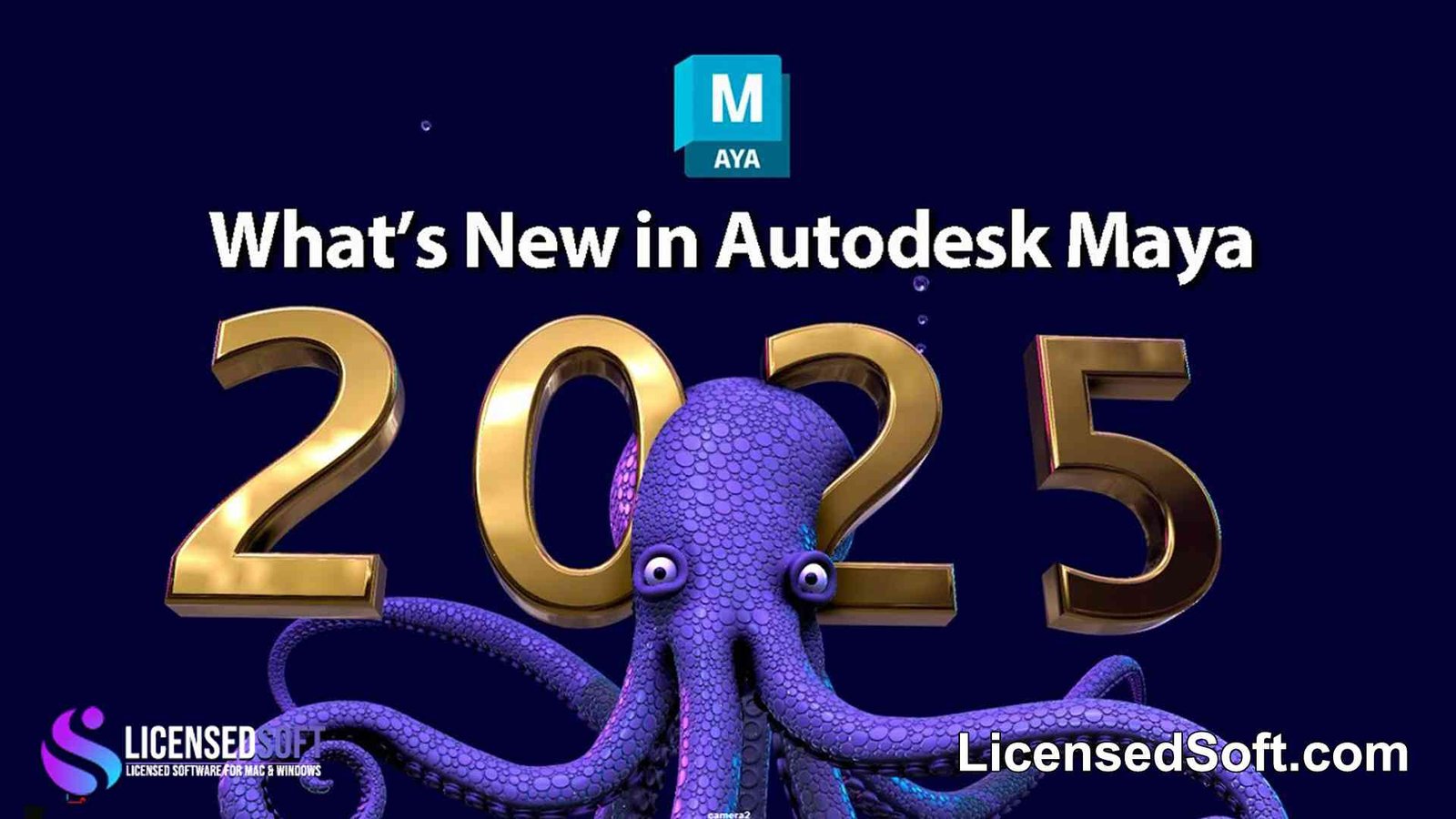 Autodesk Maya 2025 Perpetual License By LicensedSoft