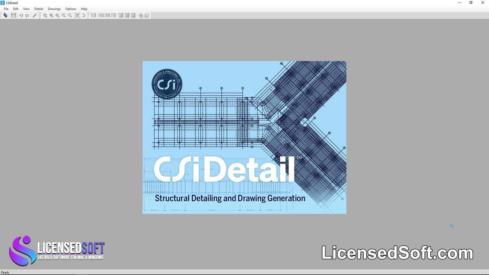 CSI Detail 20 Perpetual License By LicensedSoft