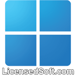 Windows 11 Pro 2024 By LicensedSoft 1
