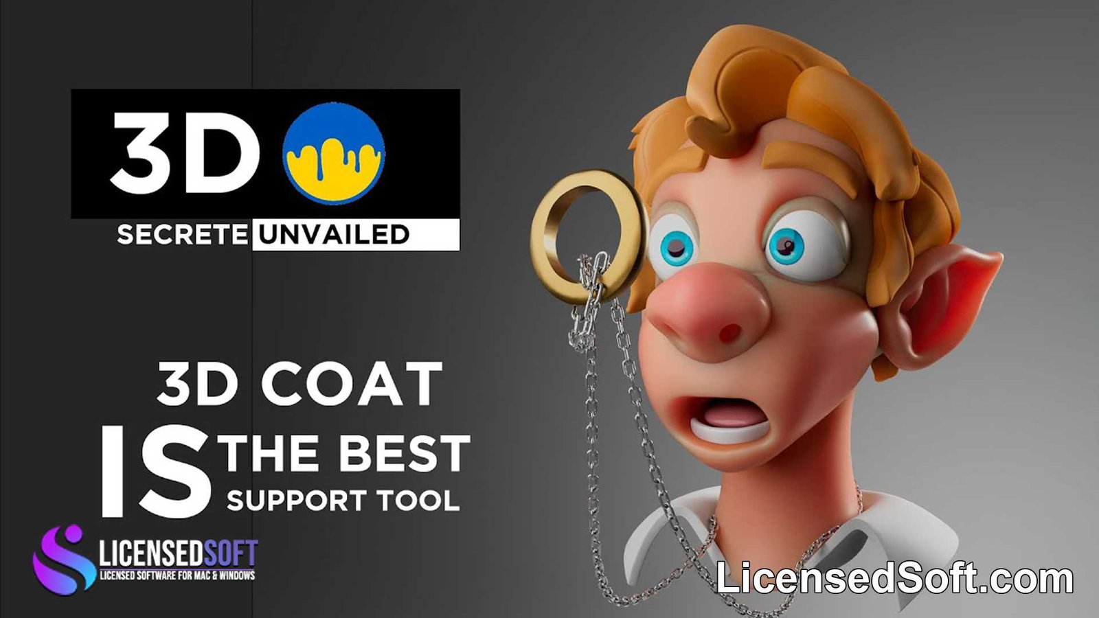 3D Coat 2024 Lifetime License By LicensedSoft