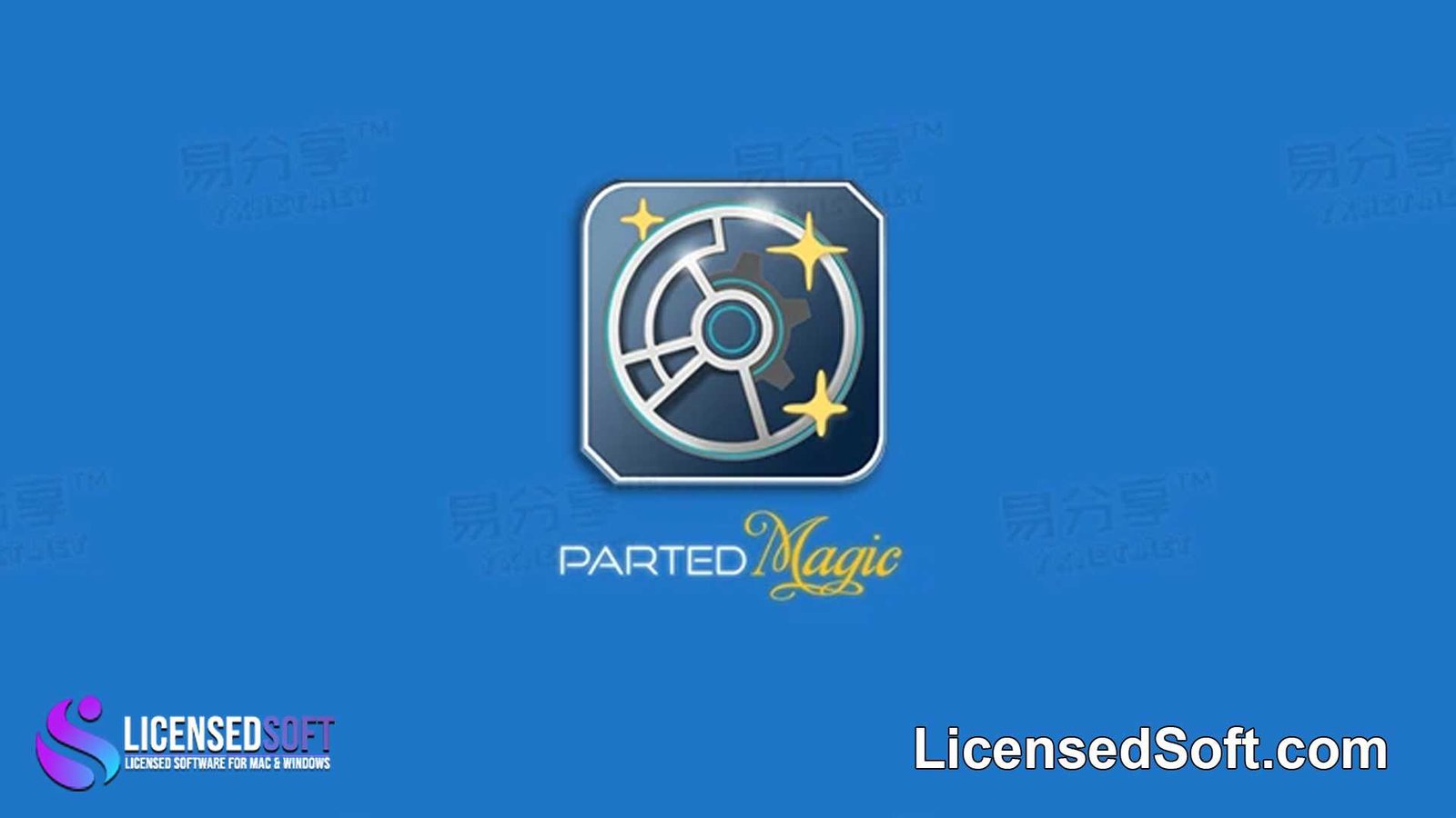 Parted Magic 2024 Lifetime License By LicensedSoft