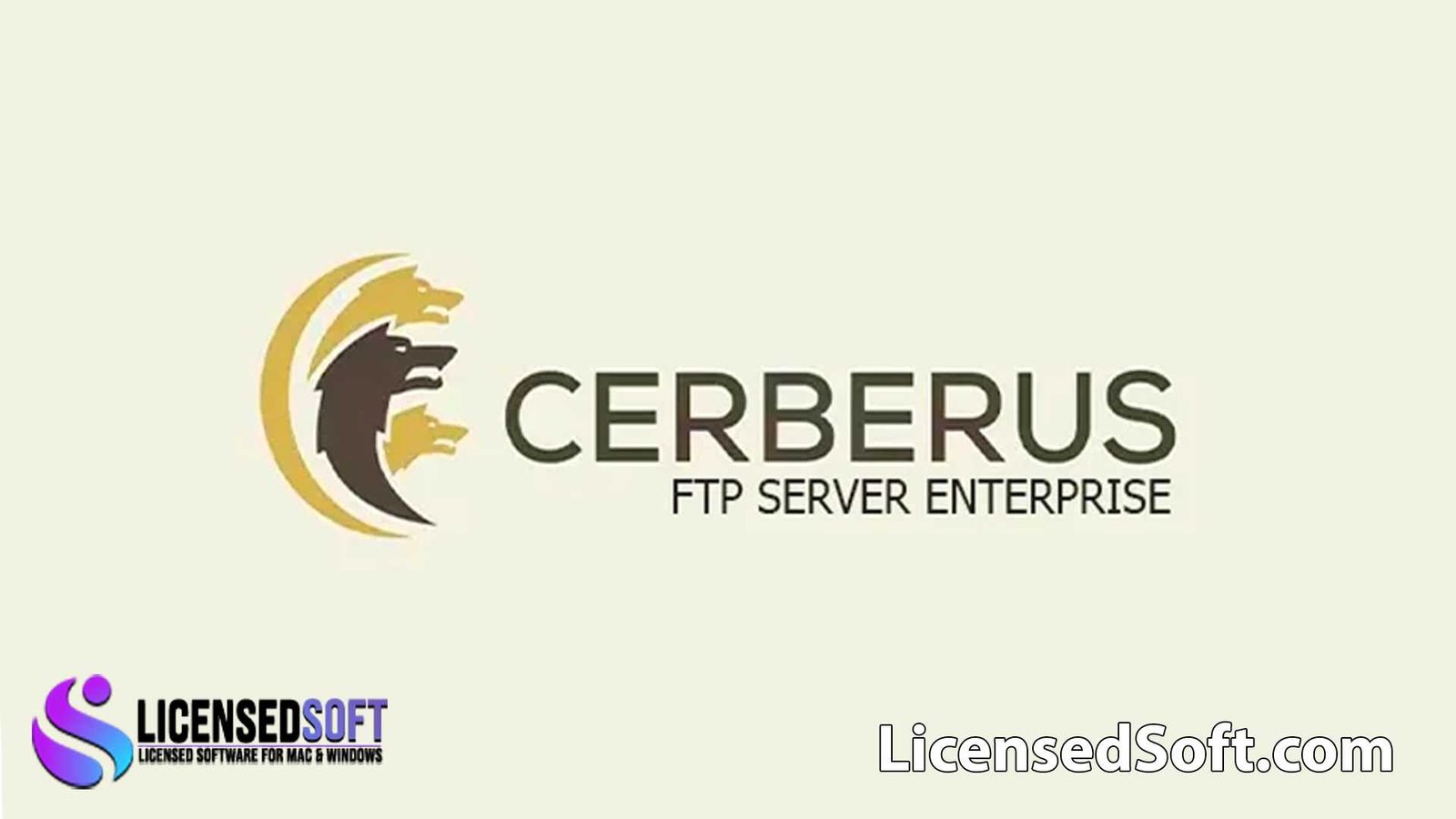 Cerberus FTP Server Enterprise 2024 Lifetime License By LicensedSoft