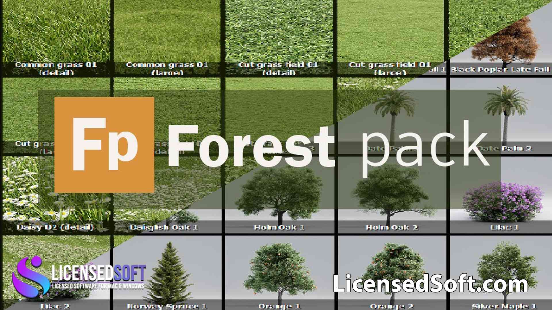 Itoo Forest Pack Pro 6.3.1 for 3DsMax Lifetime License By LicensedSoft