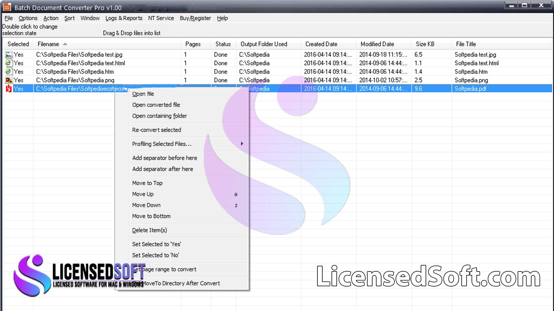 Batch Document Converter Pro 2024 Lifetime License By LicensedSoft