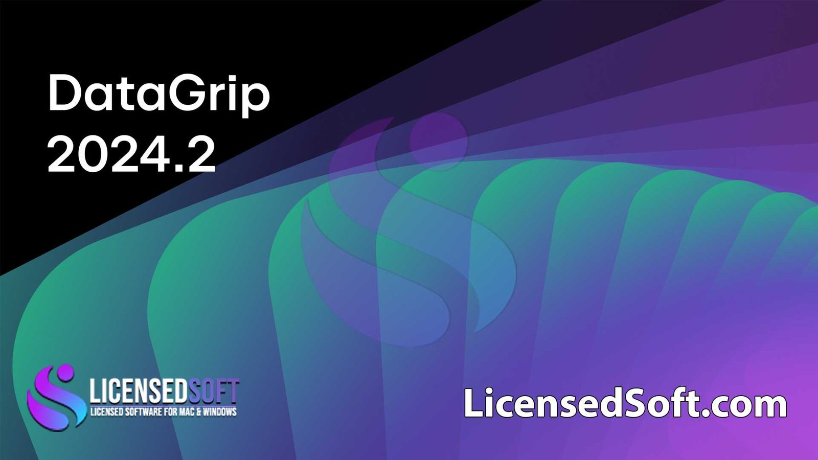 JetBrains DataGrip 2024.2.2 Full Version By LicensedSoft