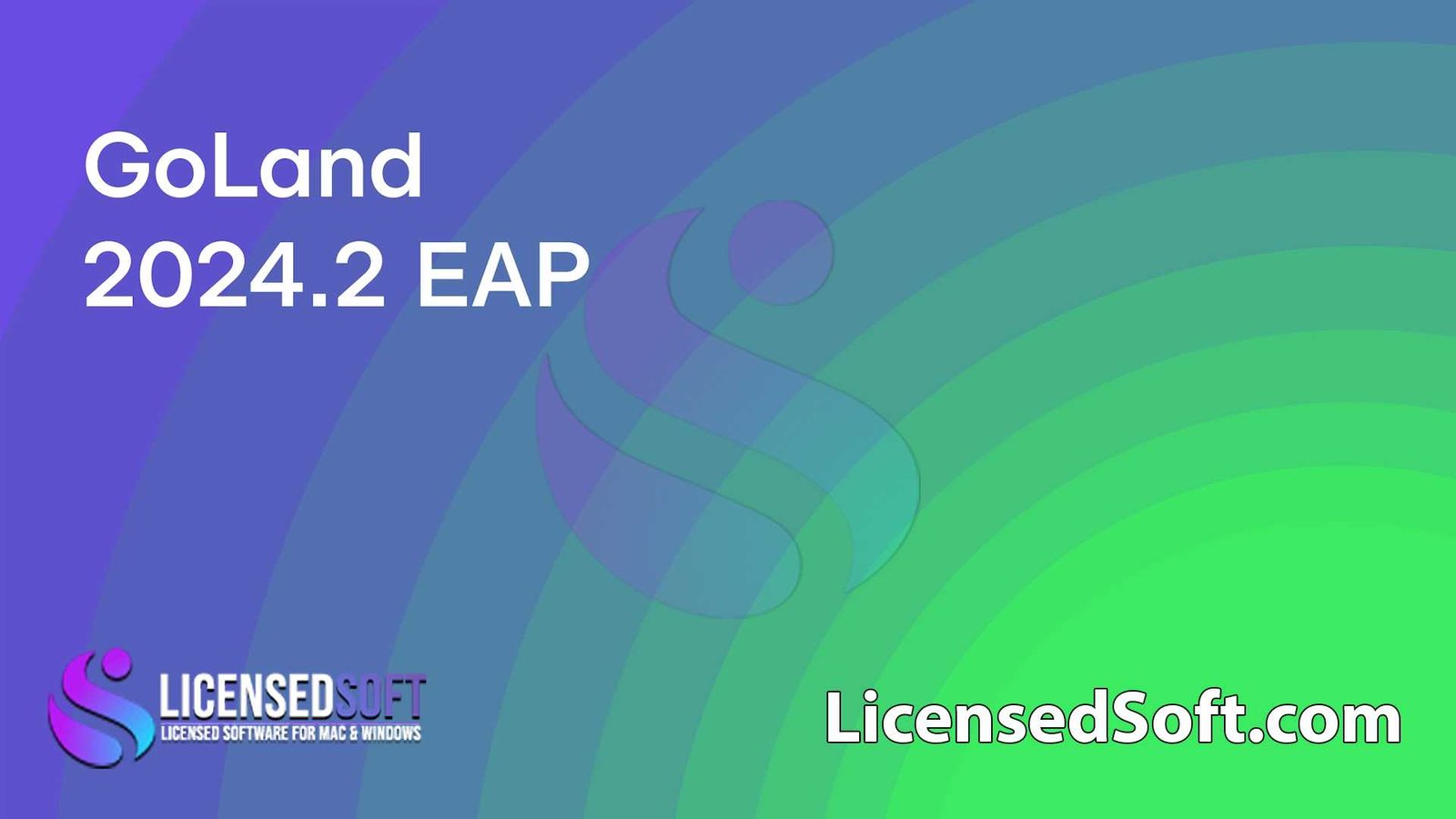 JetBrains GoLand 2024.2.2 Full Version By LicensedSoft