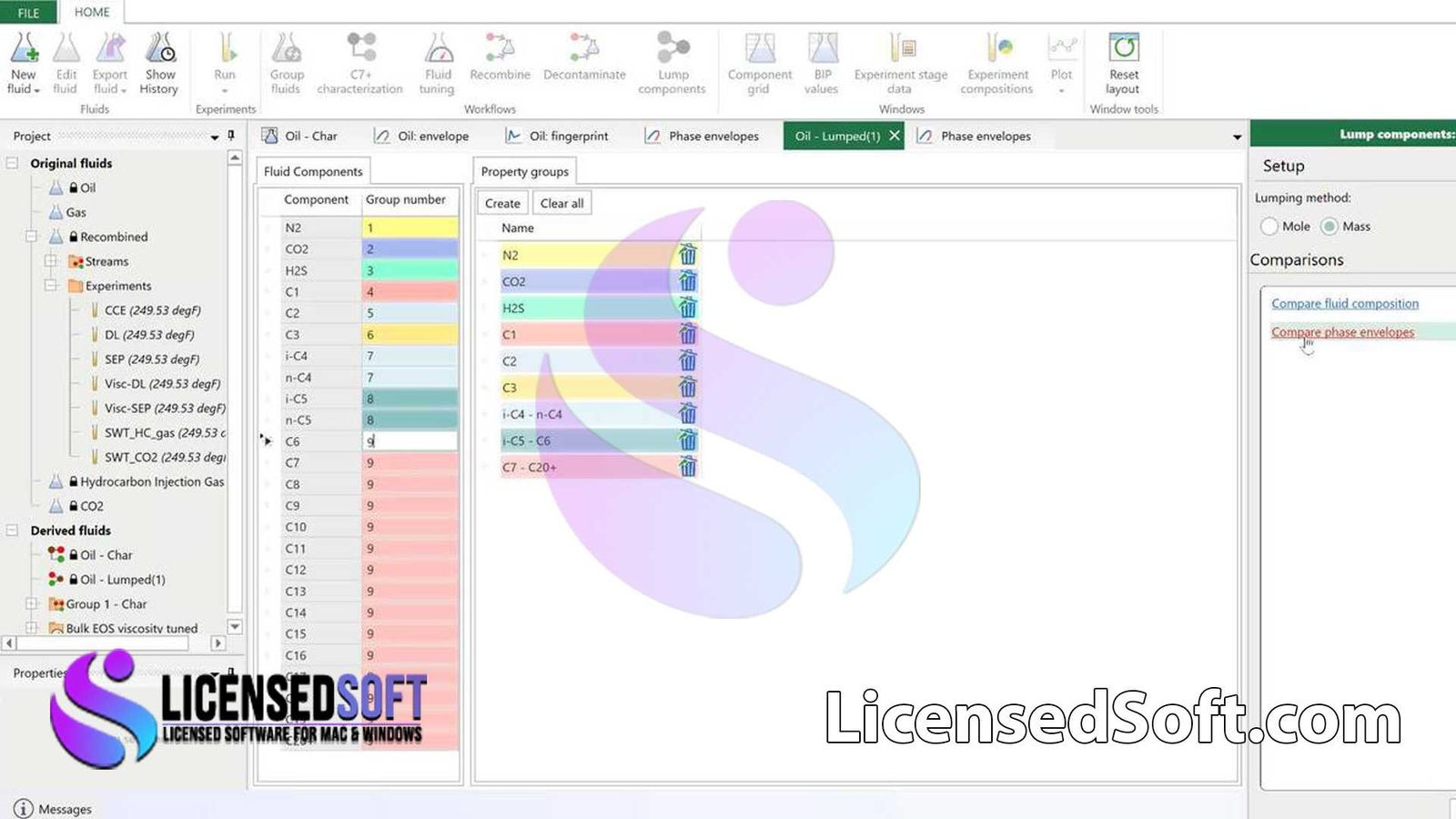 Schlumberger Fluidmodeler 2020.1 Full Version By LicensedSoft