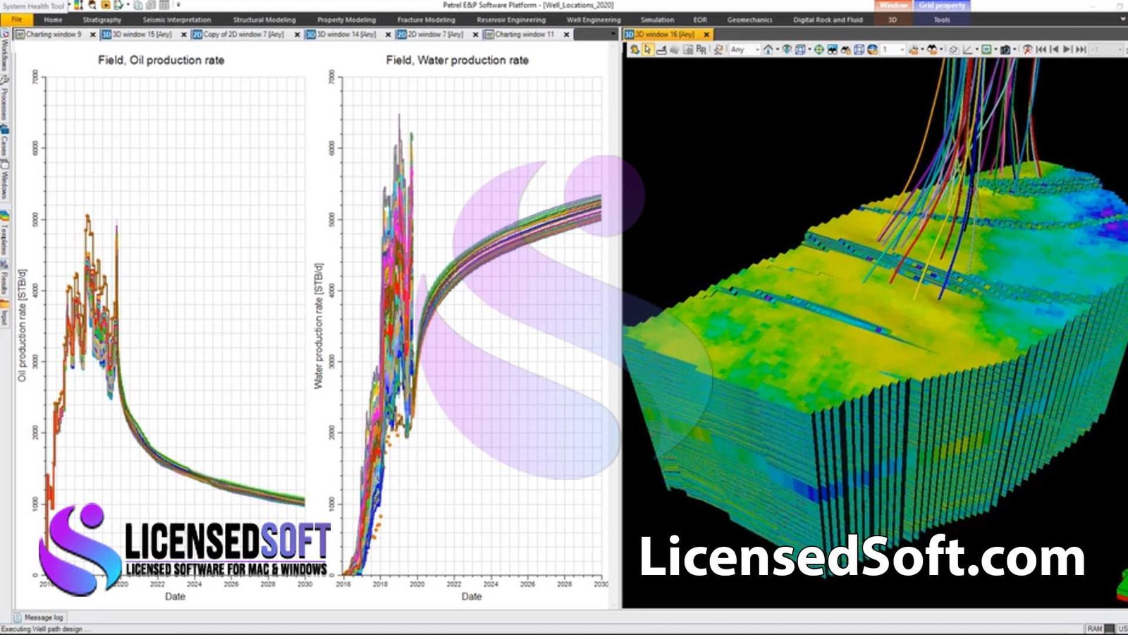 Schlumberger IAM 2023.1 Full Version By LicensedSoft