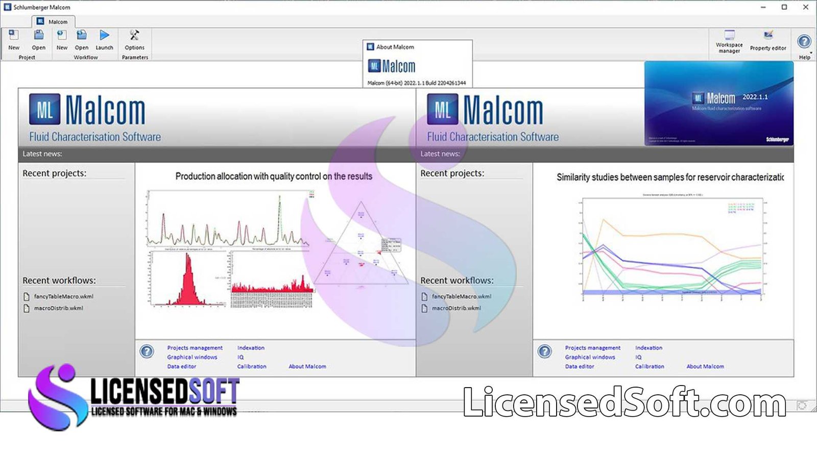 Schlumberger Malcom 2022.1 Full Version By LicensedSoft
