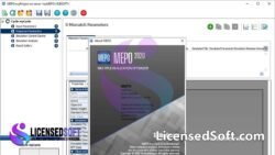 Schlumberger Mepo 2020.2.1 Full Version License Proof