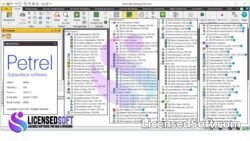 Schlumberger Petrel 2024.1 + Plugins Full Version License Proof