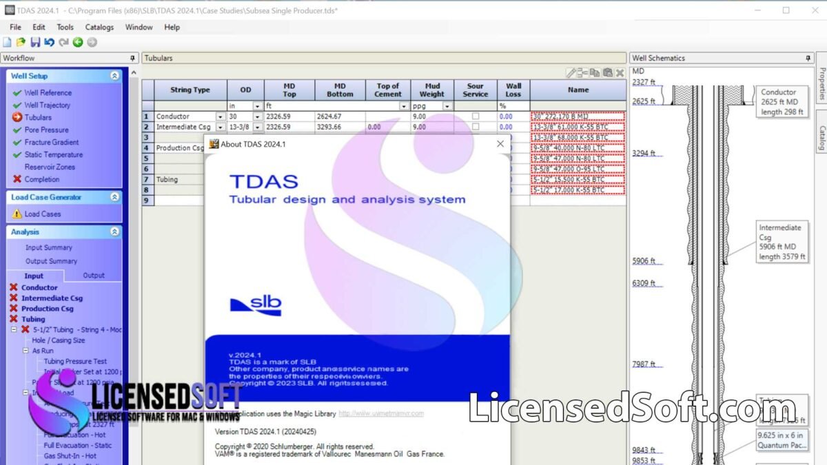 Schlumberger TDAS 2024.4 Full Version - LicensedSoft