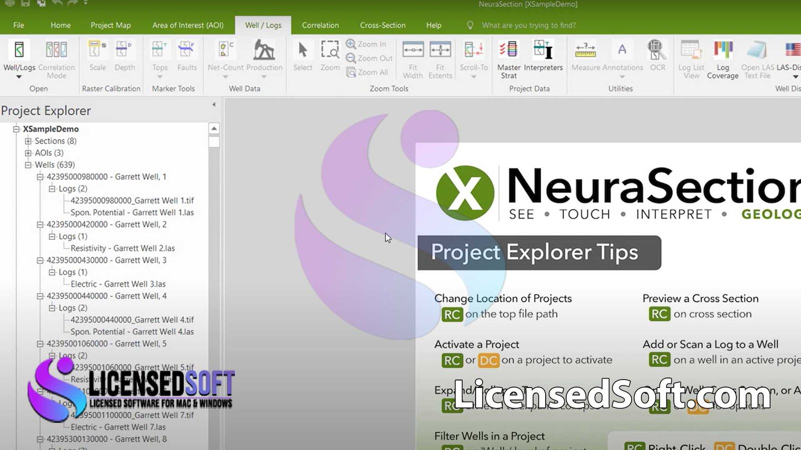 NeuraSection 2022.1 Full Version By LicensedSoft