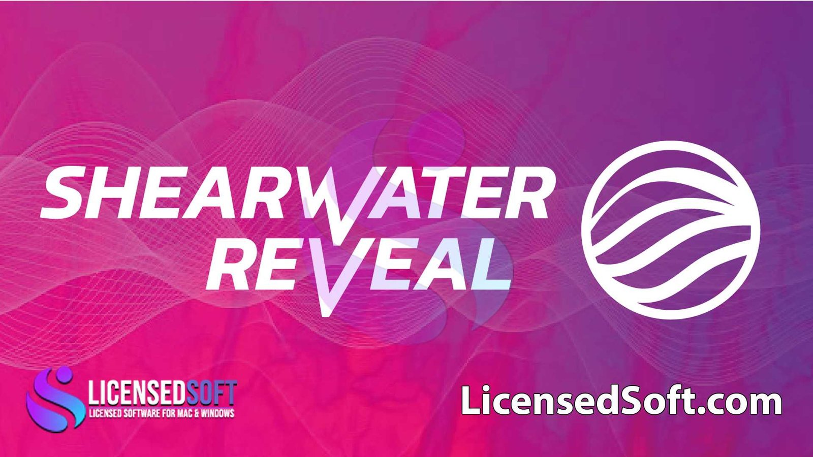 ShearWater Reveal 5.3 2023 Full Version By LicensedSoft