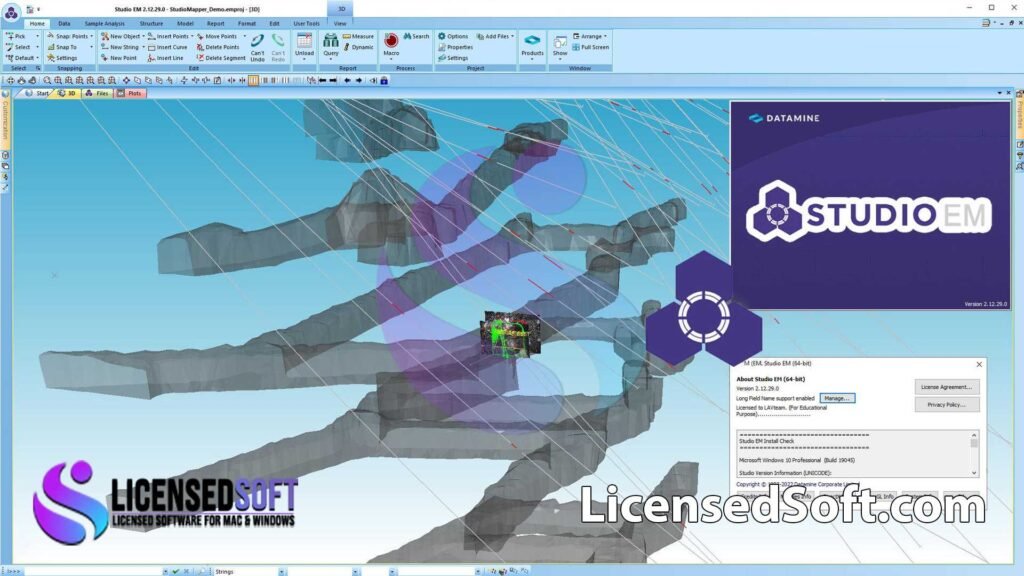 Datamine Studio EM 2.3 Full Version - LicensedSoft