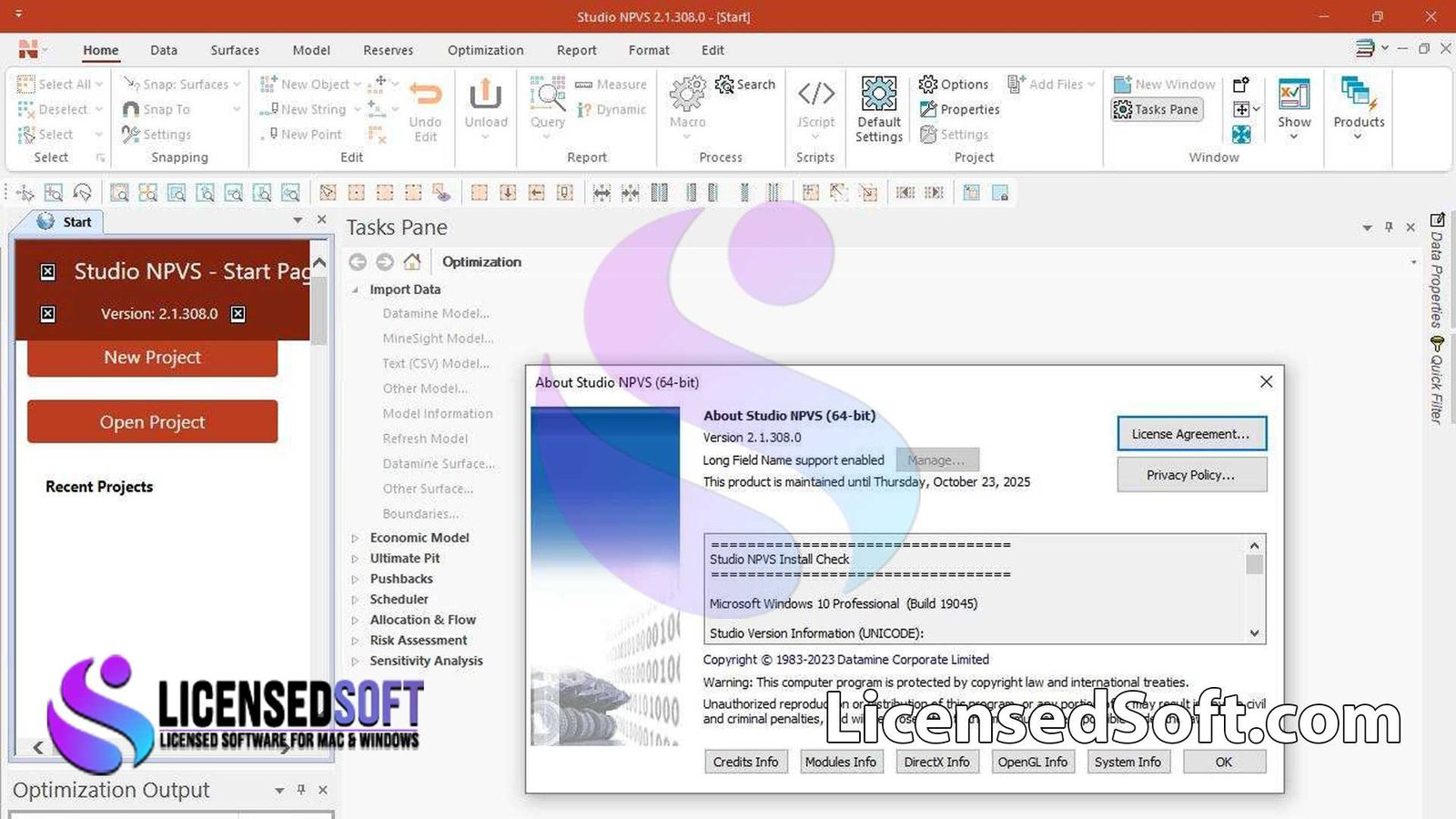 Datamine Studio NPVS 3 Full Version By LicensedSoft
