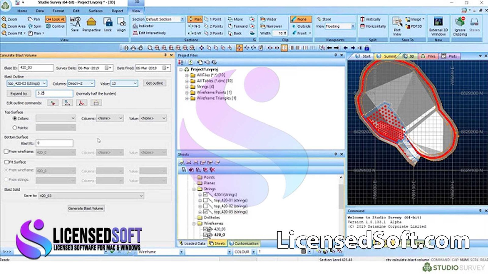 Datamine Studio Survey 2.0.10 Full Version By LicensedSoft