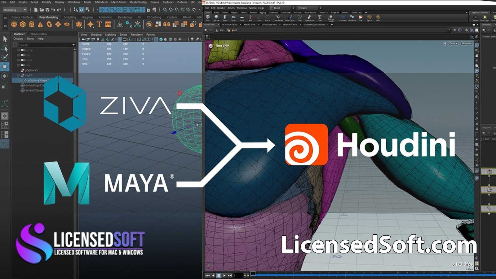 Ziva Dynamics Ziva VFX v1.922 for Maya Full Version By LicensedSoft