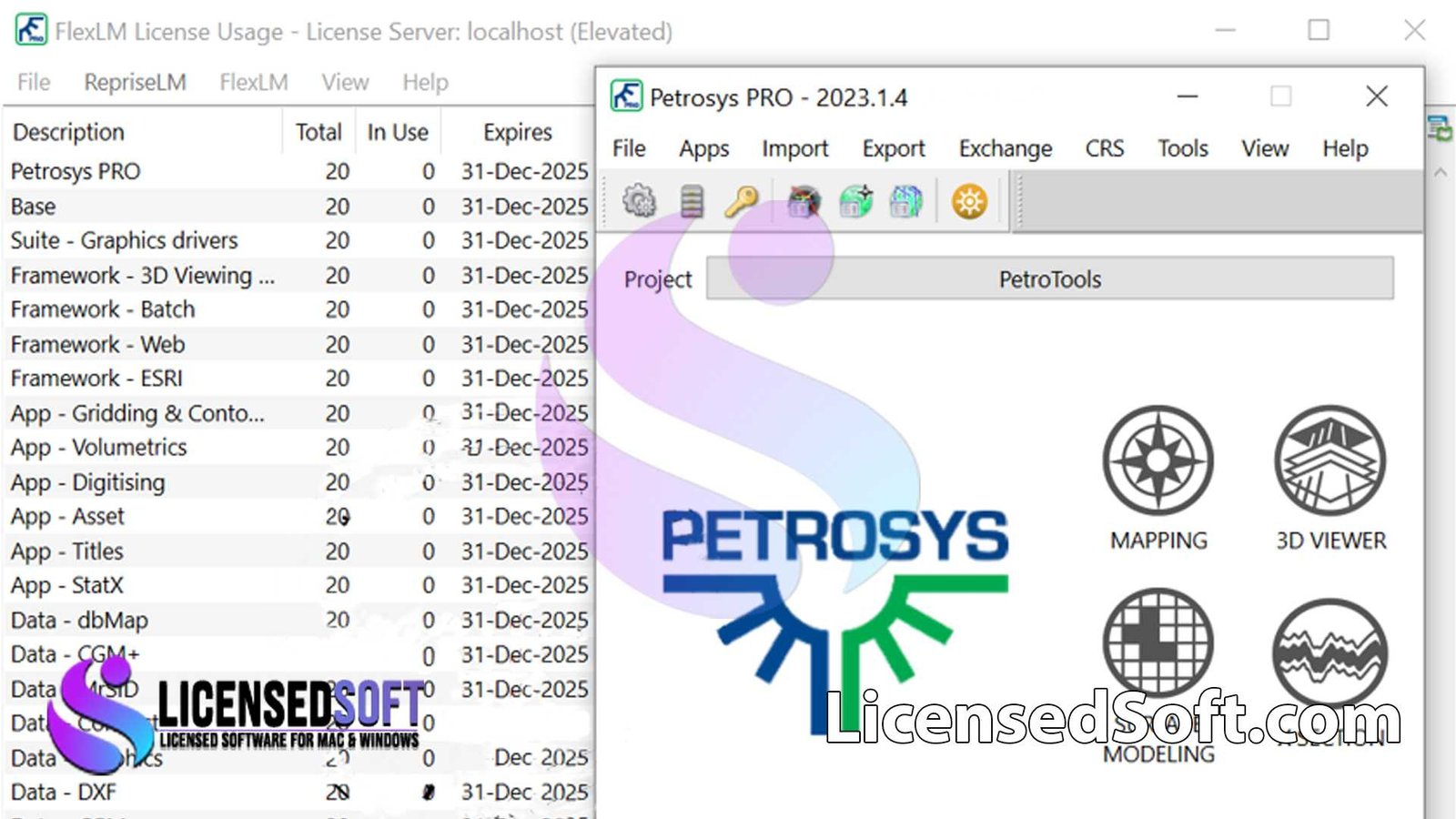 Petrosys PRO 2024.2.3 Full Version By LicensedSoft