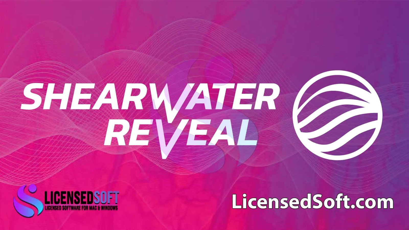 ShearWater Reveal 6.3 2025 Linux Full Version By LicensedSoft