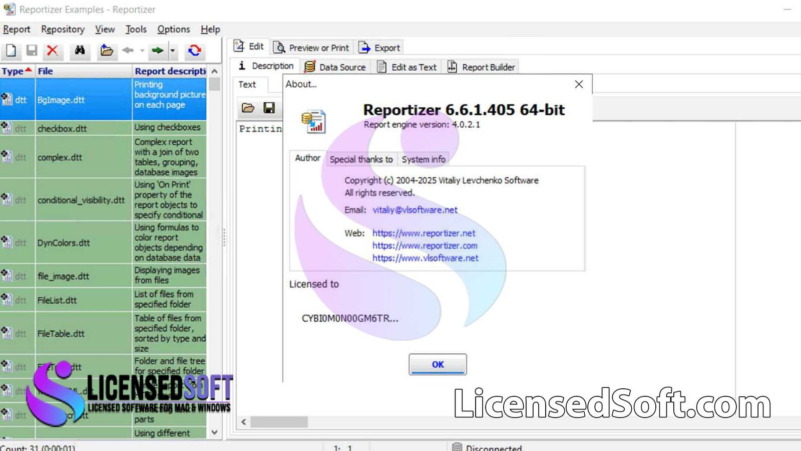 Reportizer 6.6.1.405 Full Version By LicensedSoft